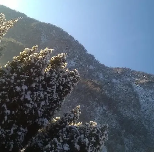 Helen Deluxe (adults Only) Rum i privatbostad *